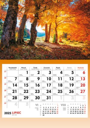 Terminarz 2025 ścienny Pejzaże