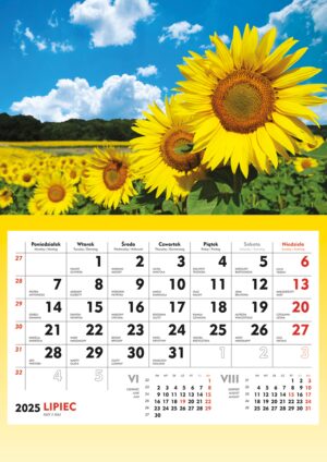 Terminarz 2025 Ścienny Słoneczniki