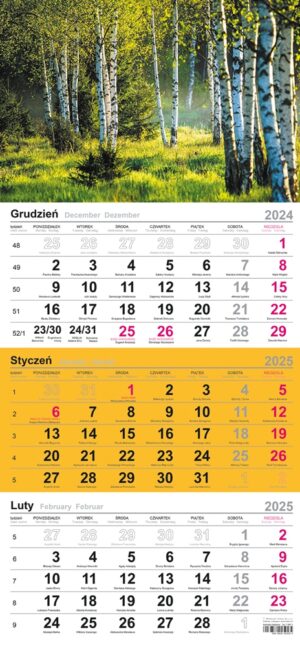 Kalendarz 2025 trójdzielny Las