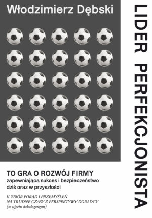 Lider perfekcjonista