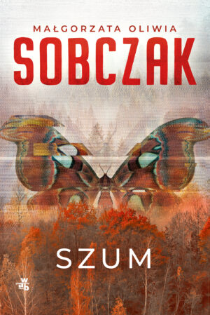 Szum. Granice ryzyka. Tom 2