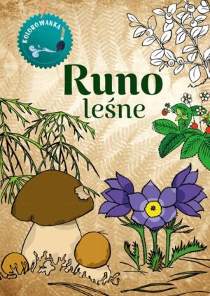 Runo leśne. Kolorowanka